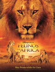 felinos-de-africa-african-cats-resena Felinos de África (African Cats) - Reseña