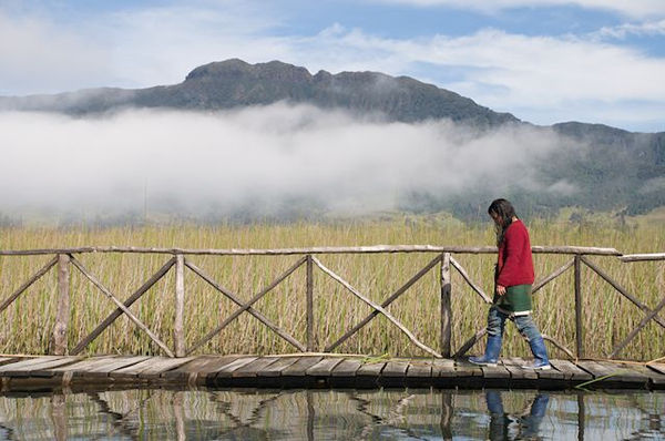 La Sirga, primer largometraje colombiano que se estrena online