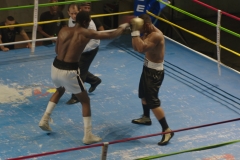 PELEA3_1.53.1