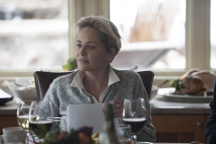 galeria-de-imagenes-serie-mosaic-protagonizada-por-sharon-stone6