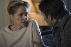 galeria-de-imagenes-serie-mosaic-protagonizada-por-sharon-stone8