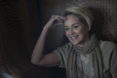 galeria-de-imagenes-serie-mosaic-protagonizada-por-sharon-stone9