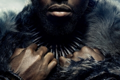 posters-de-los-personajes-de-pantera-negra1