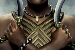 posters-de-los-personajes-de-pantera-negra9