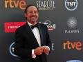 Premios Platino 2015