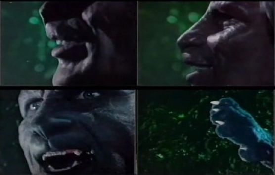 manimal-al-cine