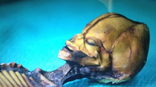 sirius-documental-sobre-presencia-extraterrestre-en-la-tierra
